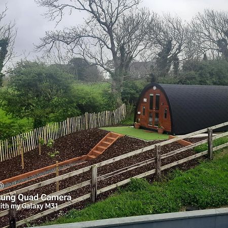 Apartament Ivy Hill Glamping Pod Ennis Zewnętrze zdjęcie
