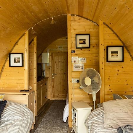 Apartament Ivy Hill Glamping Pod Ennis Zewnętrze zdjęcie
