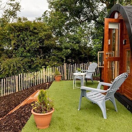 Apartament Ivy Hill Glamping Pod Ennis Zewnętrze zdjęcie