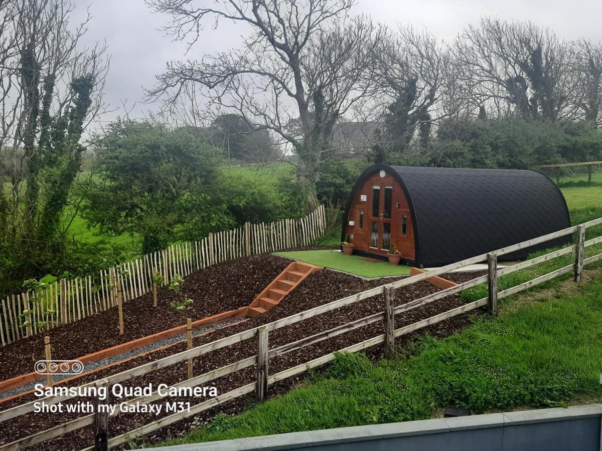 Apartament Ivy Hill Glamping Pod Ennis Zewnętrze zdjęcie
