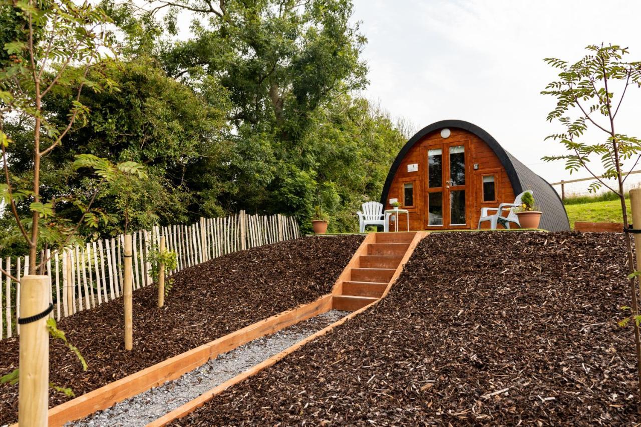 Apartament Ivy Hill Glamping Pod Ennis Zewnętrze zdjęcie